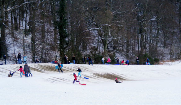 Fun in the snow