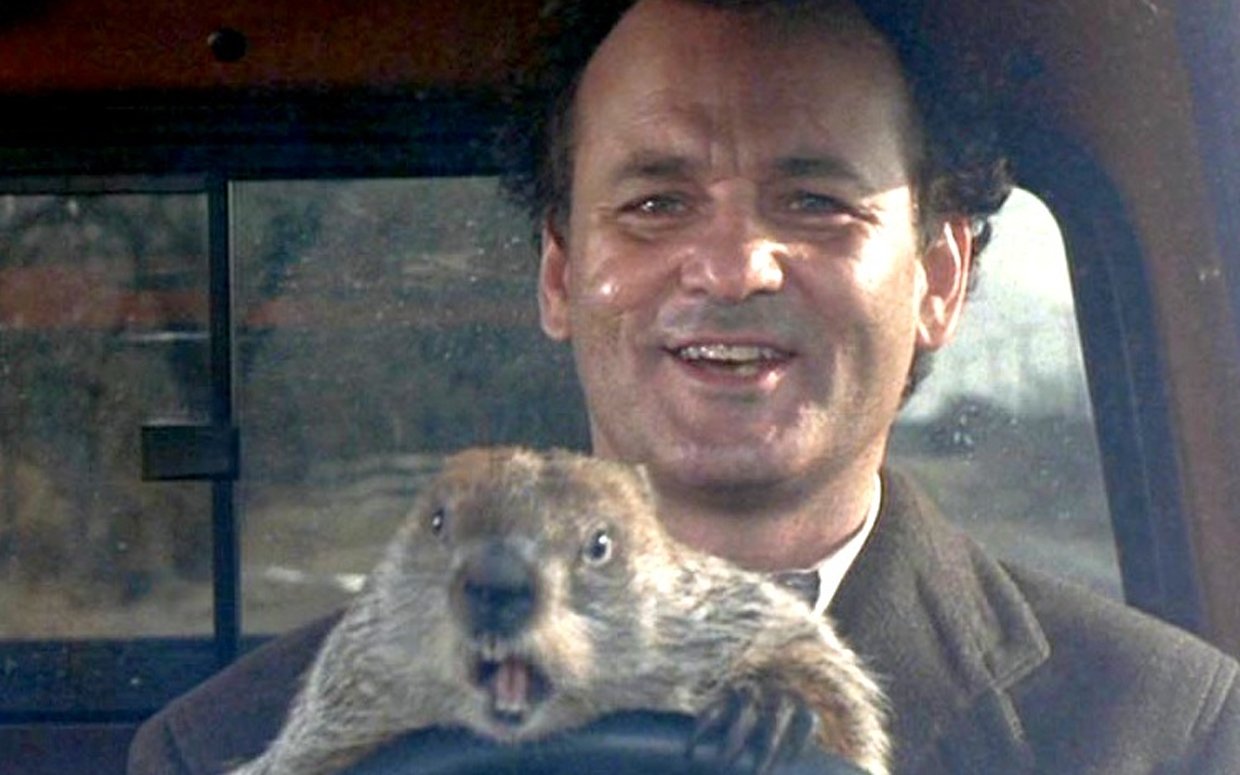 American actor and comedian, Bill Murray, with a groundhog