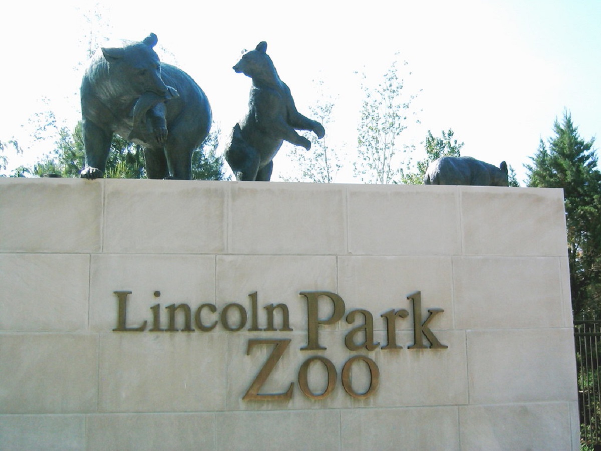 lincoln park zoo