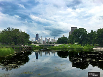 Glorious Summer Chicago Skyline
