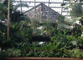 Did You Know? Illinois is home to one of the largest greenhouse conservatories in the U.S.