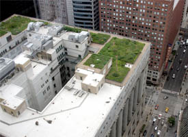 Did You Know? Illinois ranks number one for green building efforts