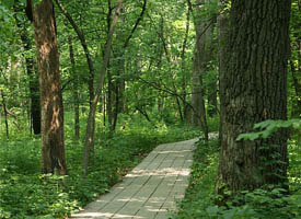 Did You Know? Illinois has an abundance of scenic hiking trails