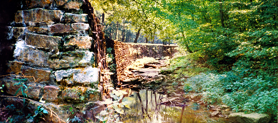 Illinois park of the month: Giant City State Park