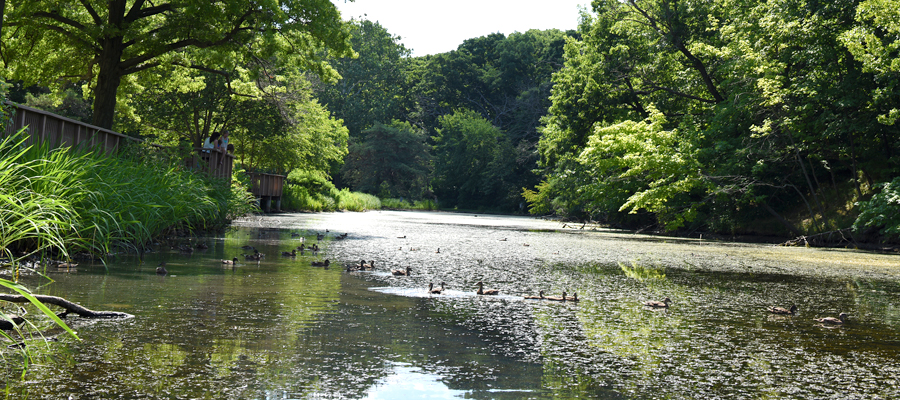 Illinois park of the month: Washington Park