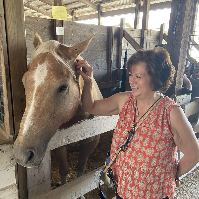 I Like IL county fair pic