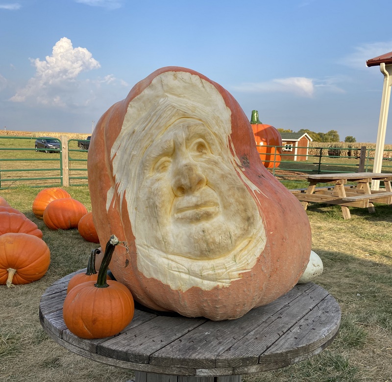 Pumpkin Pic