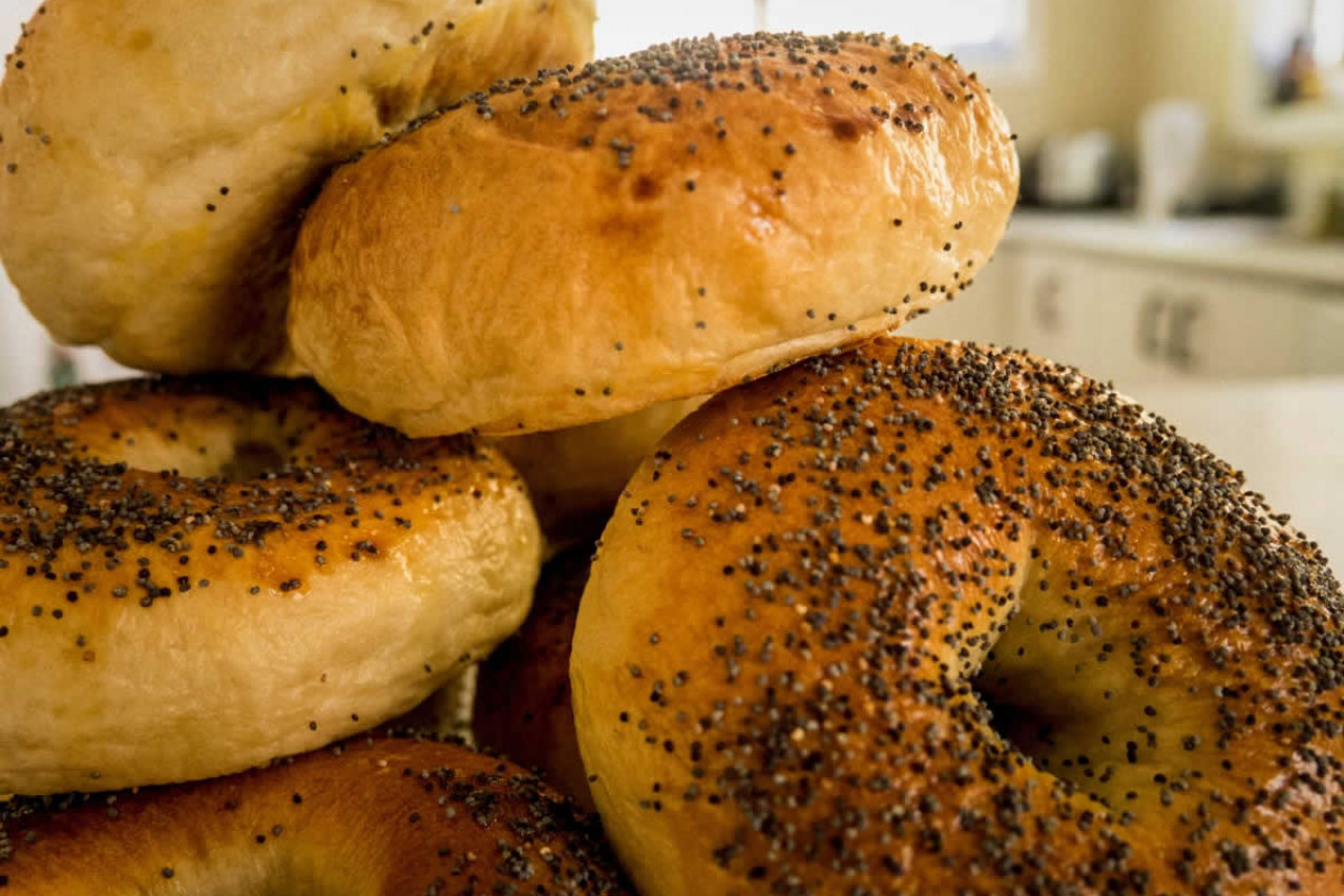 tiad4t bagel